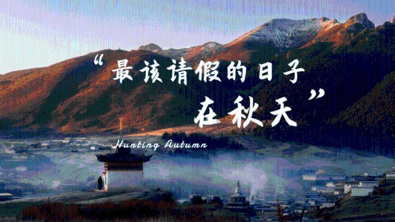 1.5T的思域购车7月余，油耗在8点6以上，是什么问题？游戏画面