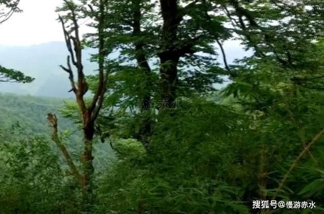 英特尔芯片